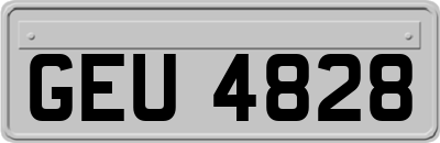 GEU4828