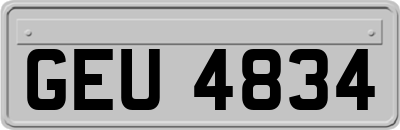 GEU4834