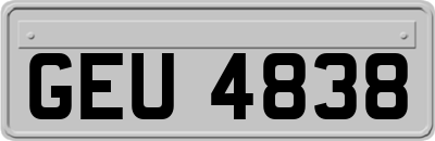 GEU4838