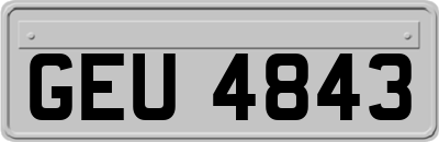 GEU4843