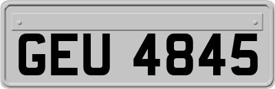 GEU4845