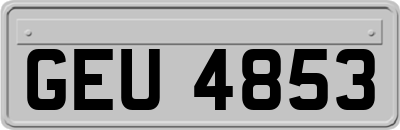GEU4853