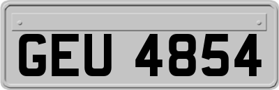 GEU4854