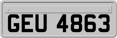 GEU4863