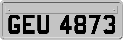 GEU4873