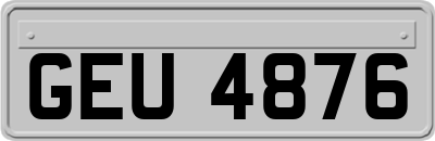 GEU4876