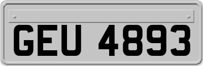 GEU4893