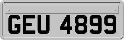 GEU4899
