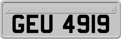GEU4919