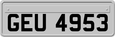 GEU4953