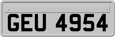 GEU4954