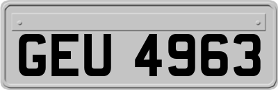 GEU4963