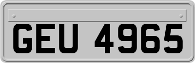 GEU4965
