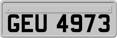 GEU4973