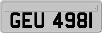 GEU4981