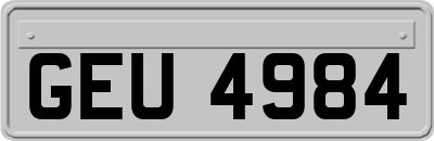 GEU4984