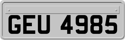 GEU4985