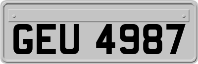 GEU4987