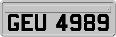 GEU4989