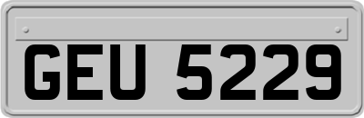 GEU5229