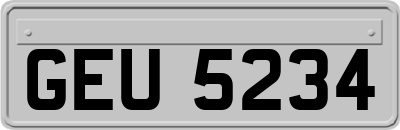 GEU5234