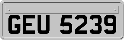 GEU5239