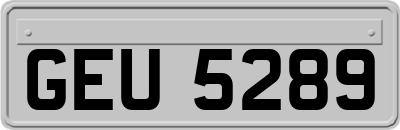 GEU5289