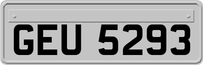 GEU5293