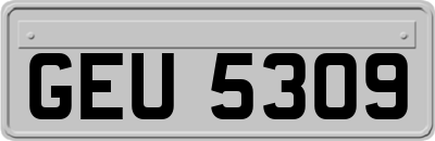 GEU5309