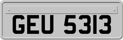 GEU5313
