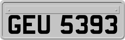 GEU5393