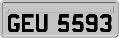 GEU5593
