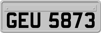 GEU5873