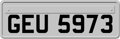 GEU5973