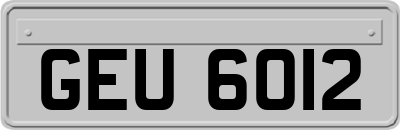 GEU6012