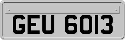 GEU6013