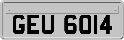 GEU6014