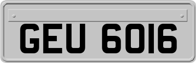 GEU6016