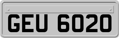 GEU6020
