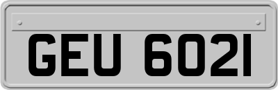 GEU6021