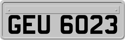 GEU6023