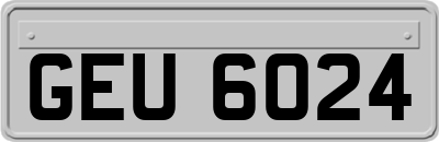 GEU6024