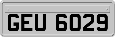 GEU6029