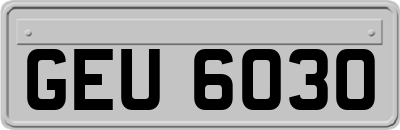 GEU6030