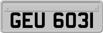 GEU6031