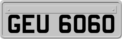 GEU6060