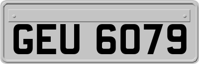GEU6079