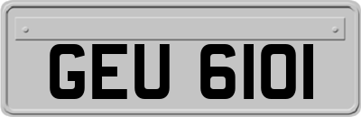 GEU6101