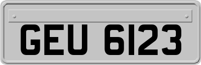 GEU6123
