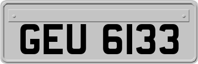 GEU6133